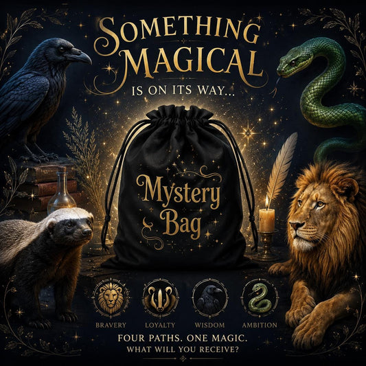 Magic Mystery Bag | Fantasy Inspired Handmade Accessories, Wizard School Gift